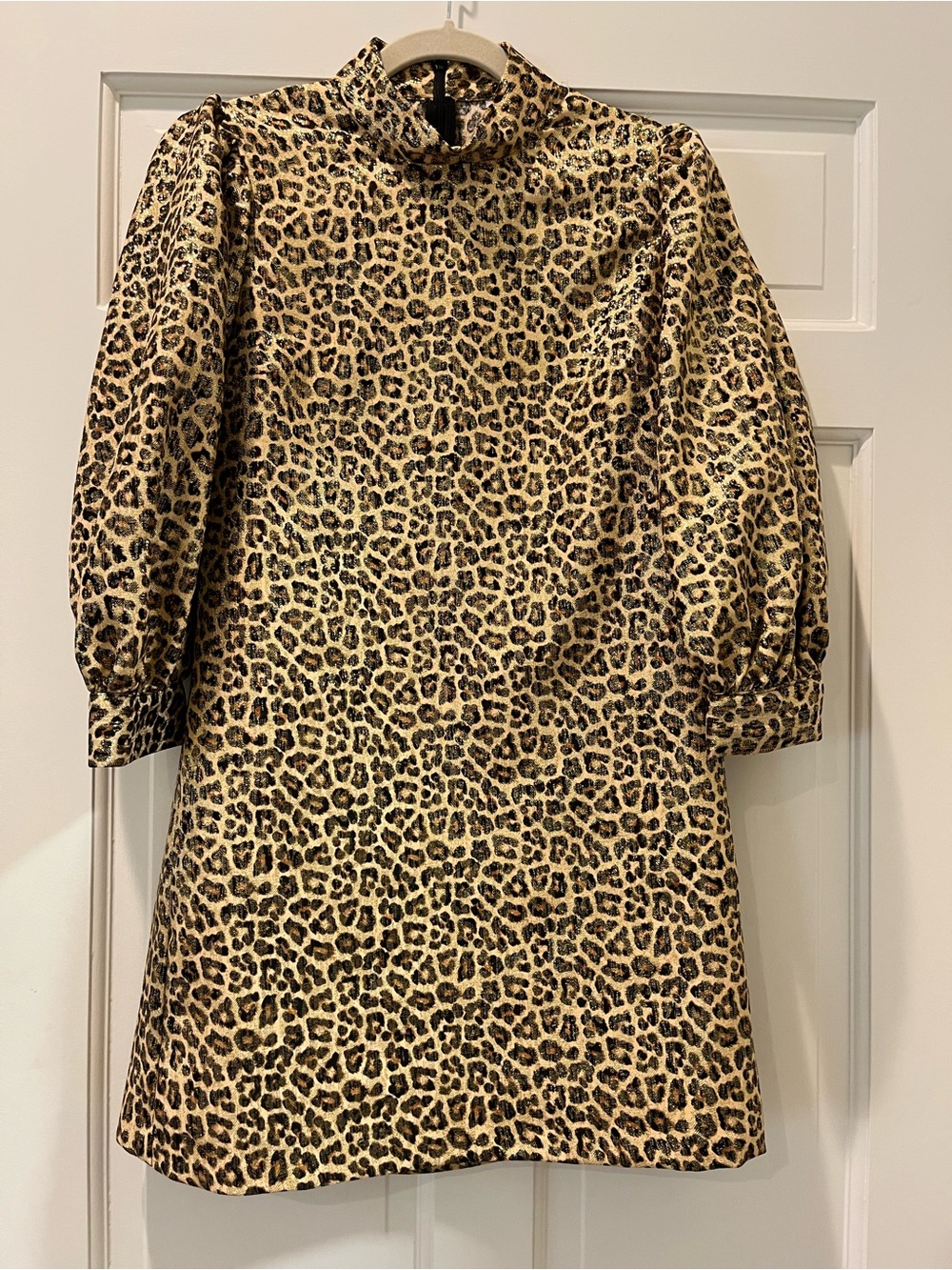 Zara Leopard Print Mini Dress in Tan and Black